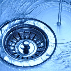 Fruits Flies and Drains in Murrieta, CA