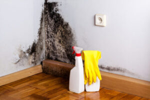 Plumbing services in Murrieta, CA