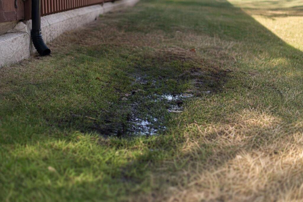 Wet, muddy patch of grass next to a building with a black downspout visible on the left side, indicating possible water drainage or leakage issue.