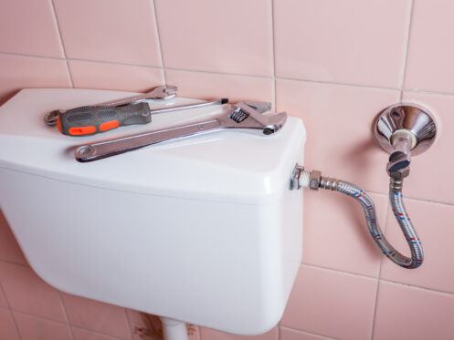 A Guide To Common Issues People Have With Their Toilets